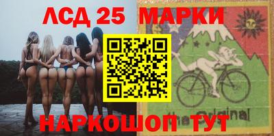 шишки Обнинск