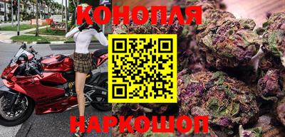шишки Обнинск