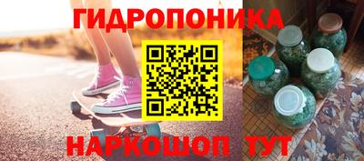шишки Обнинск