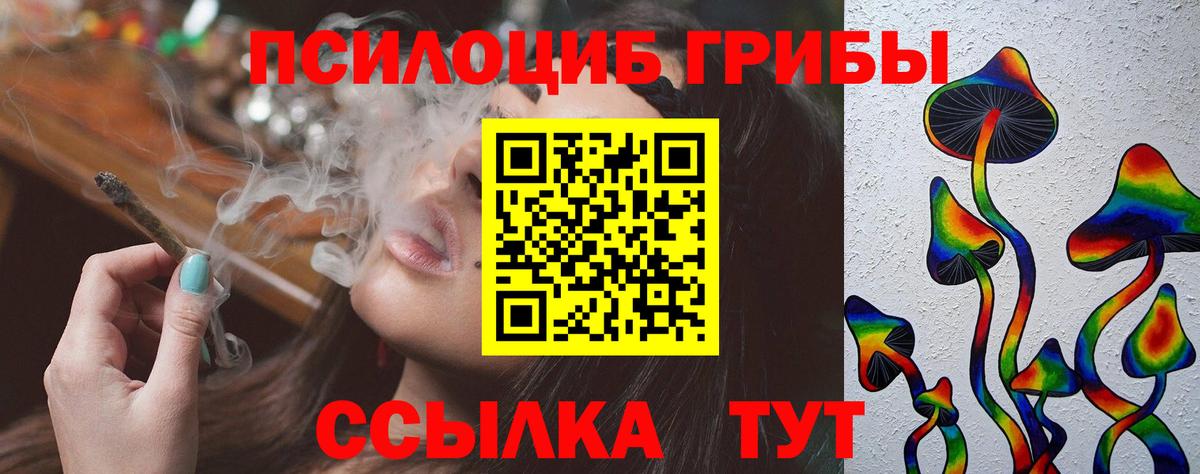 Псилоцибиновые грибы Psilocybe  Вход с VPN  Сунжа  где продают   Псилоцибиновые грибы Cubensis 