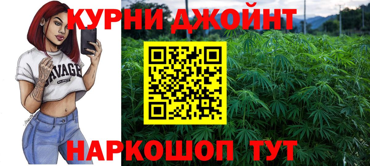 Канабис ГИДРОПОН Сунжа